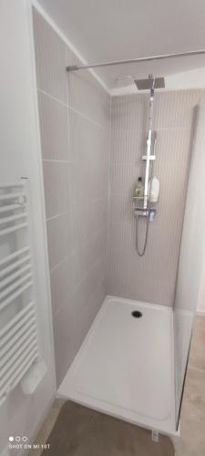 une salle de bain avec douche et lavabo dans l'établissement Entre Bordeaux & Arcachon, à Cestas