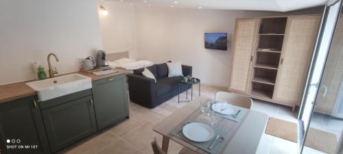 Il dispose d'une cuisine et d'un salon avec un canapé et un évier. dans l'établissement Entre Bordeaux & Arcachon, à Cestas