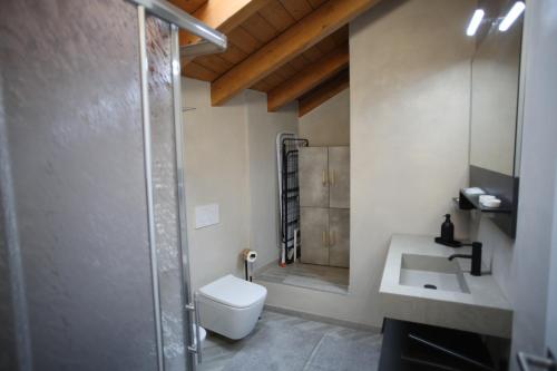 a bathroom with a shower and a toilet and a sink at Casa Camoscio Piano 2 in Cannobio
