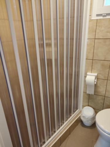 a shower in a bathroom with a toilet at Estike Apartmanok in Tiszafüred