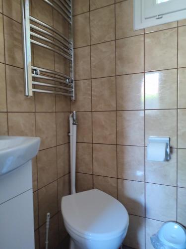 a bathroom with a toilet and a sink at Estike Apartmanok in Tiszafüred