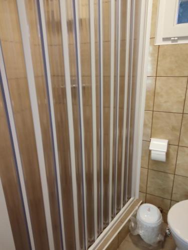 a shower in a bathroom with a toilet at Estike Apartmanok in Tiszafüred