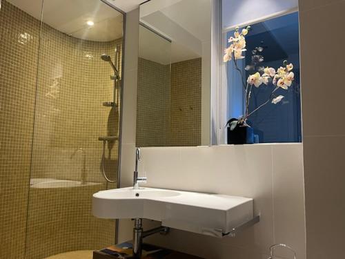 une salle de bain avec un lavabo, une douche et un miroir dans l'établissement Le Crystal-studio terrasse pleine vue mer, à Dinard