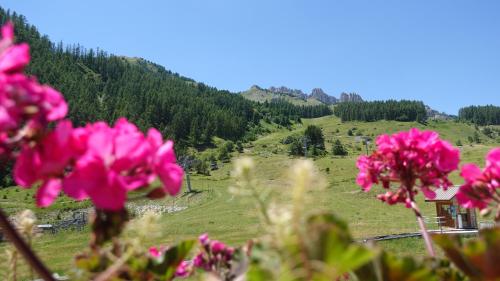 Φωτογραφία από το άλμπουμ του Le Balcon des Ecrins σε Reallon