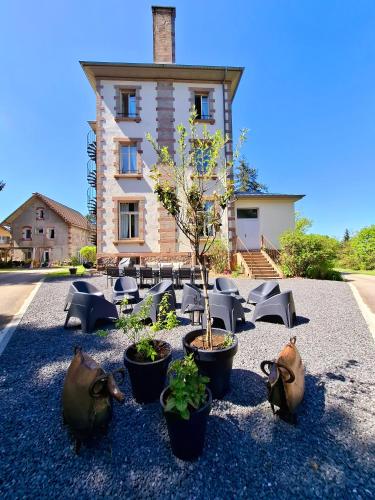 un groupe de plantes en pot devant un bâtiment dans l'établissement Château Robert, à Raon-lʼÉtape