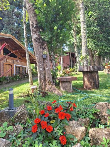 a garden with red flowers and two benches and trees at Chalés ANECUEM in Monte Verde