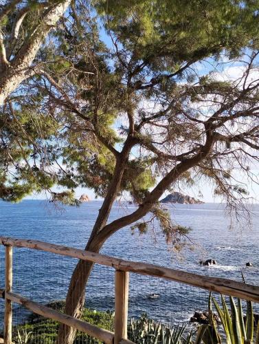 Φυσικό τοπίο κοντά σε αυτό το διαμέρισμα