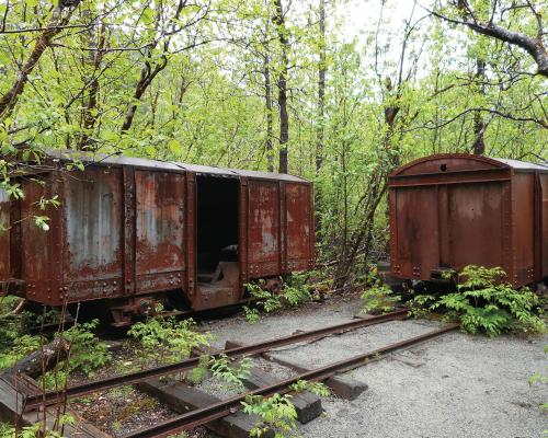 two train cars sitting on tracks in the woods at Raw Gold - Affordable, Near Mendenhall Glacier, Trails, and Conveniences - DISCOUNTS ON TOURS! in Mendenhaven
