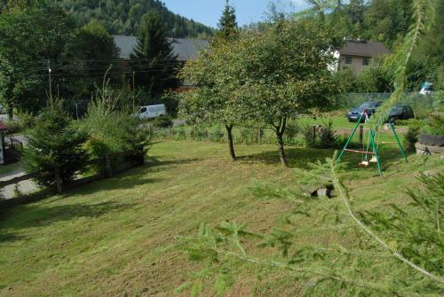 a yard with an apple tree and a swing at Agroturystyka Sokolec Górski in Sokolec