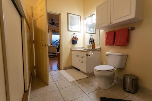 Koupelna v ubytování Kelli Creek Cottage - REDUCED PRICE ON TOURS