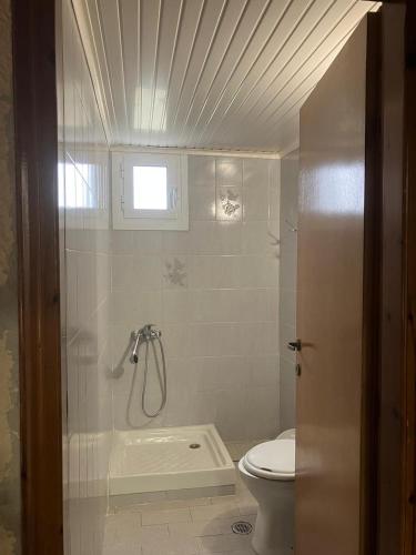 a bathroom with a shower and a toilet at Blue Sea Studios in Limenaria
