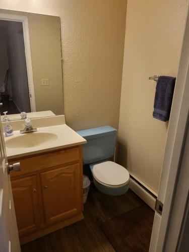a bathroom with a sink and a toilet and a mirror at Dimond Jewel in Anchorage