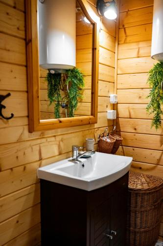 a bathroom with a sink and a mirror at Borowa Chatka in Borowy Młyn