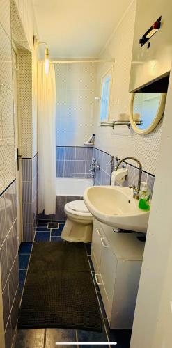 a bathroom with a sink and a toilet and a sink at Eklektikus 79 in Ábrahámhegy