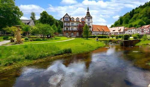 Příroda nedaleko apartmánu