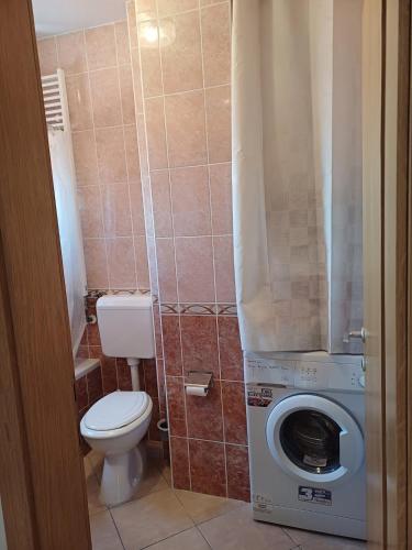 Delfa Apartment