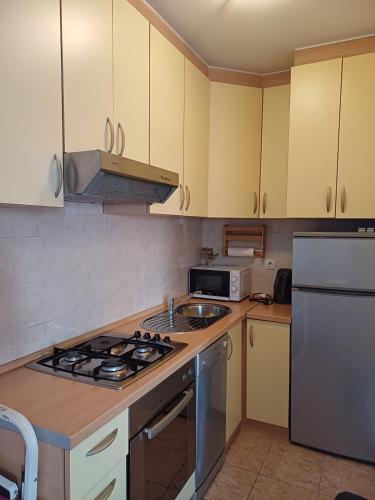 Delfa Apartment