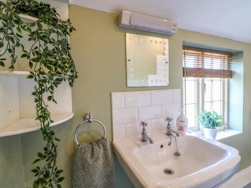 a bathroom with a sink and a potted plant at Holmhurst in Southwell