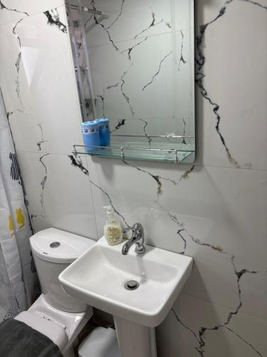 a bathroom with a sink and a toilet and a mirror at P&K apartment Pogradec in Pogradec