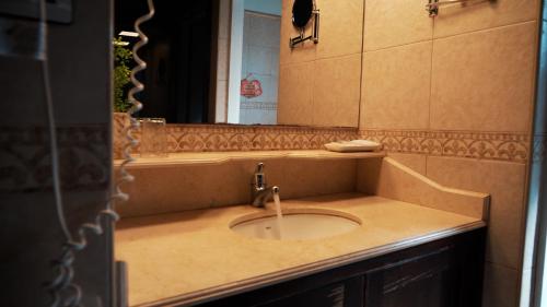 a bathroom with a sink and a mirror at Hotel Jardín del Paraná in Paso de la Patria