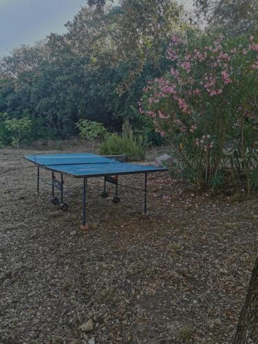 - une table de ping-pong bleue devant quelques fleurs dans l'établissement U Cipressu, à La Celle-sous-Gouzon