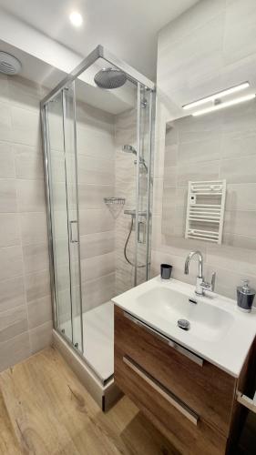 une salle de bain avec un lavabo et une douche dans l'établissement Residence les Fontettes, La Joue du Loup, à Saint-Étienne-en-Dévoluy