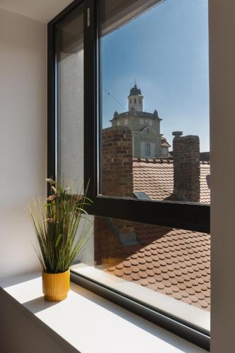a window with a plant sitting on a window sill at R73 Residences in Pécs