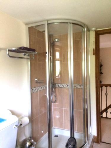 a shower with a glass door in a bathroom at The Linney in Teigngrace