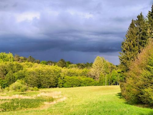 a grassy field with trees and a cloudy sky at Ptasi Zakątek in Tomaryny