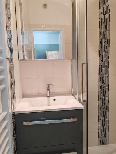 une salle de bain avec un lavabo et un miroir dans l'établissement Beautiful - private terrace - Wi-Fi - air conditioning, à Toulon