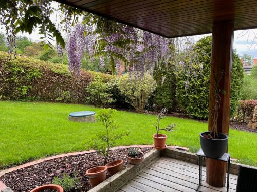 a garden with plants in pots on a porch at Frankenberg-am-Wald Frankenberg an der Eder in Frankenberg