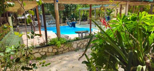 a backyard with a swimming pool with a table at Casa Jabalí Ecocchic in Tulum