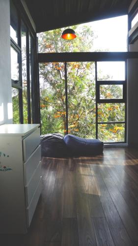 a room with a large window with a dog laying on the floor at BIMBA en el corazón del bosque, Huasca in La Venta