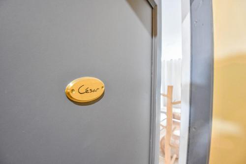 une porte avec un frappe en laiton sur elle dans l'établissement Chez Cesar - Appart 2 ch avec clim - Saint-Charles, à Marseille