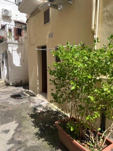 Bangunan di mana terletaknya apartmen