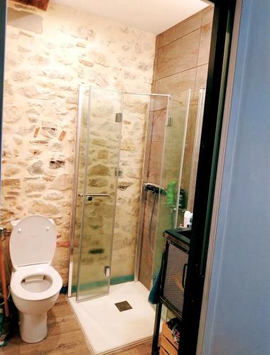 une salle de bain avec douche et toilettes dans l'établissement Carré des Halles, à Bayonne