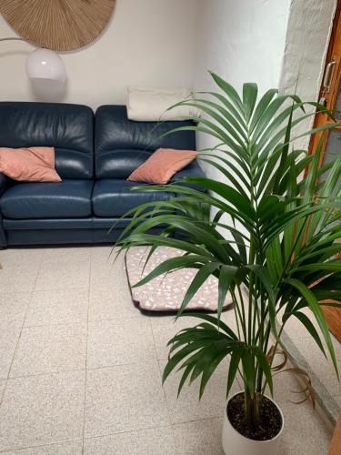 a plant in a living room with a blue couch at El Paraíso Agaete Valle in Agaete