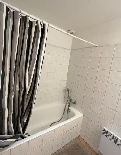 La salle de bains est pourvue d'une baignoire avec rideau de douche. dans l'établissement Appartement dans le centre historique superbe vue, à Aix-en-Provence