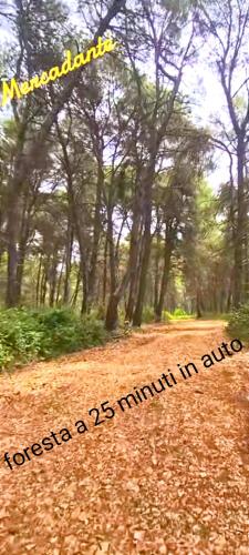 ゲストハウスの近くで見られる自然の景観