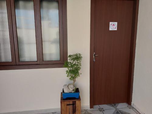 a door and a potted plant next to a building at Pitaya Haus Lofts in Brusque