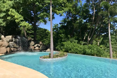 a swimming pool with a palm tree in the middle at Mikado Natural Lodge in Playa Avellana