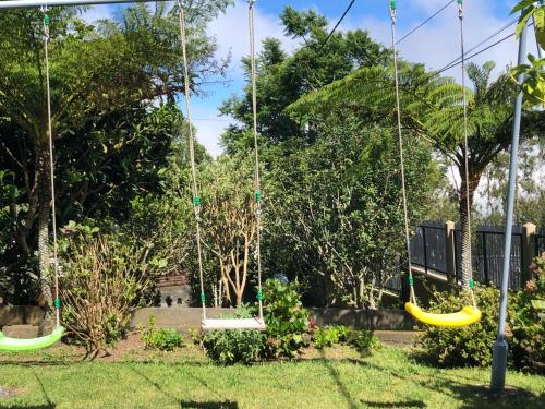 two swings in a garden with trees in the background at La casa de la plaine des cafres in Le Tampon