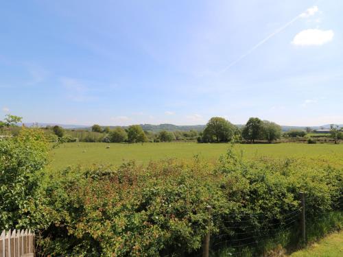 a field with a fence and a field with trees at Hill Radnor - The Sheepfold in Llandrindod Wells