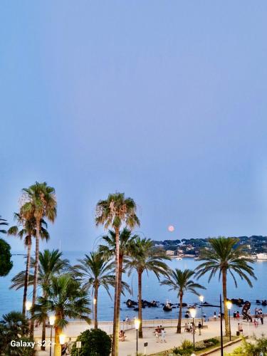 une vue sur une plage avec des palmiers et l'océan dans l'établissement Cozy Studio, Sea View, Old Town, Near Beaches, à Antibes