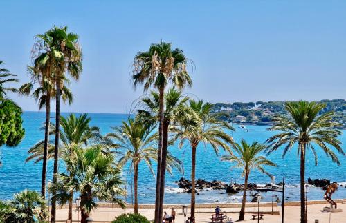 un groupe de palmiers sur une plage avec l'océan dans l'établissement Cozy Studio, Sea View, Old Town, Near Beaches, à Antibes