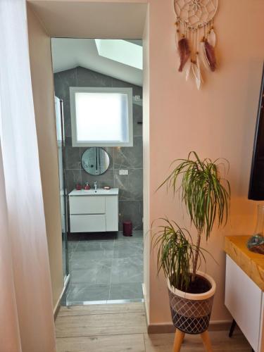 a bathroom with a mirror and a potted plant at Villa Élégante à Berre-les-Alpes - Terrasse, Piscine & Vue Panoramique in Berre-les Alpes