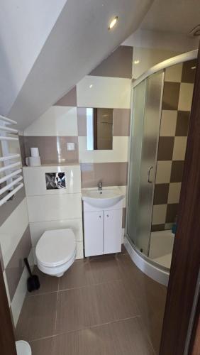 a bathroom with a toilet and a sink and a shower at Noclegi Mazur przysiersk in Przysiersk