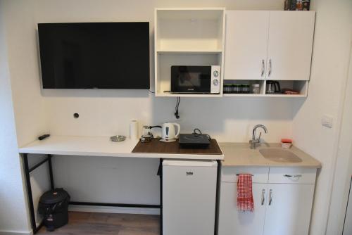 Apartmani TEDŽ Plavにあるキッチンまたは簡易キッチン