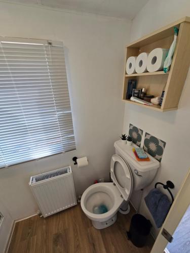 a small bathroom with a toilet and a window at FI005 Loomy Escapes Caravan at St Osyth Beach Essex in Saint Osyth