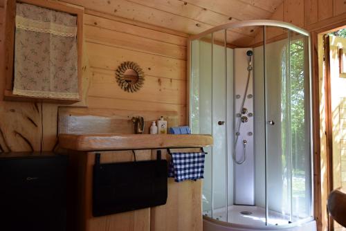 un baño con ducha y lavabo en Apidomek Medový ráj, en Vilémov